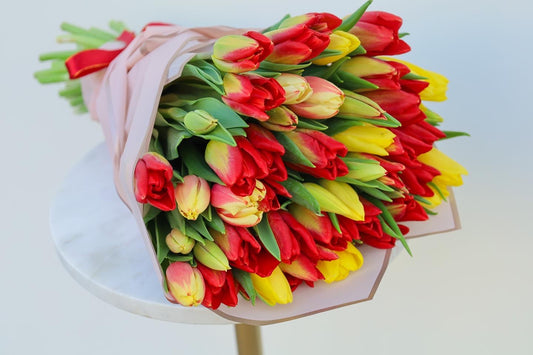 Delicate Petals of Tulips