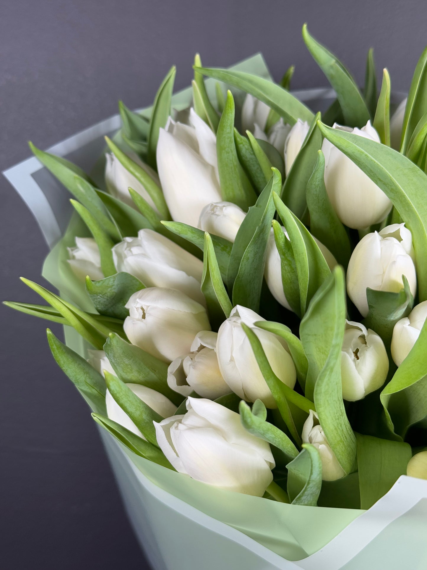 White Grace