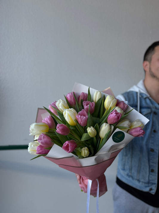 Spring Symphony Tulip Collection