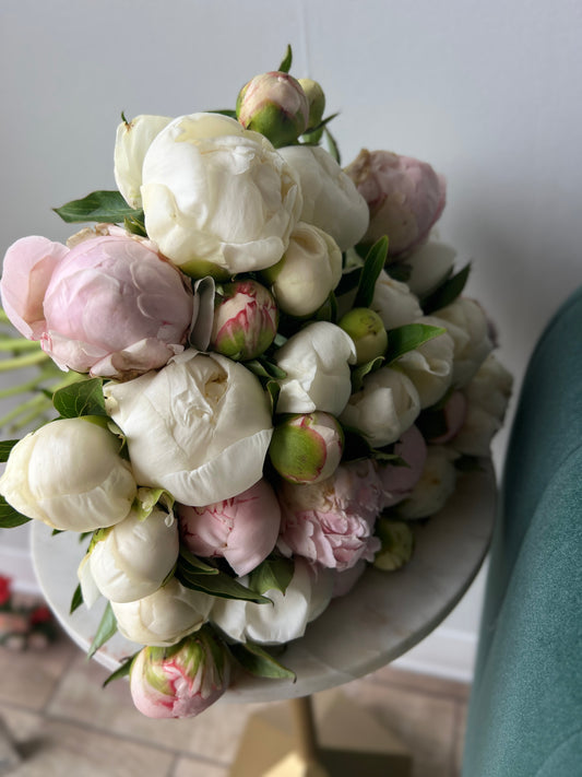 Peonies